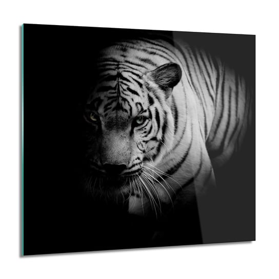 ArtprintCave, Biały tygrys kot Obraz szklany na ścianę, 60x60 cm ArtPrintCave