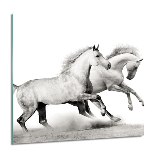 ArtprintCave, Biegające konie Obraz na szkle na ścianę, 60x60 cm ArtPrintCave