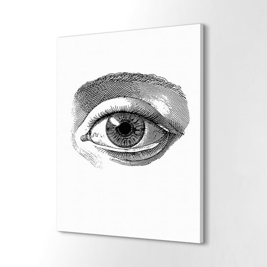 ArtprintCave, Canvas do kuchni Oko anatomia ciało człowiek, 60x80 cm ArtPrintCave