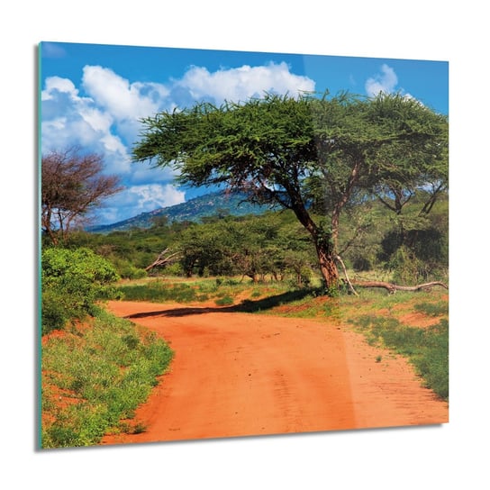 ArtprintCave, Droga sawanna Kenia Obraz szklany ścienny, 60x60 cm ArtPrintCave