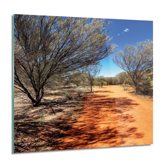 ArtprintCave, Drzewa droga Australia Foto szklane ścienne, 60x60 cm ArtPrintCave