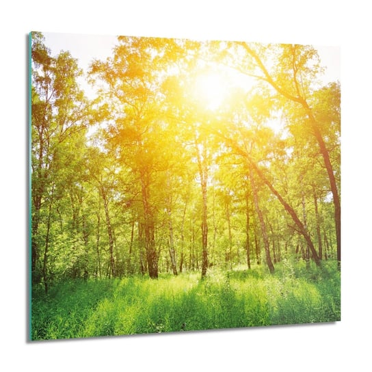 ArtprintCave, Drzewa słońce las Obraz na szkle na ścianę, 60x60 cm ArtPrintCave