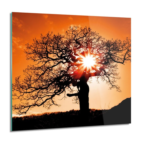 ArtprintCave, Drzewo zachód słońca Obraz na szkle, 60x60 cm ArtPrintCave