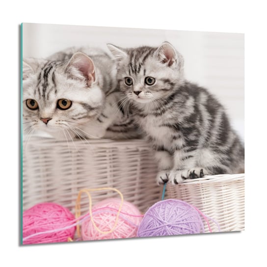 ArtprintCave, Dwa koty w koszyku foto-obraz Obraz na szkle, 60x60 cm ArtPrintCave