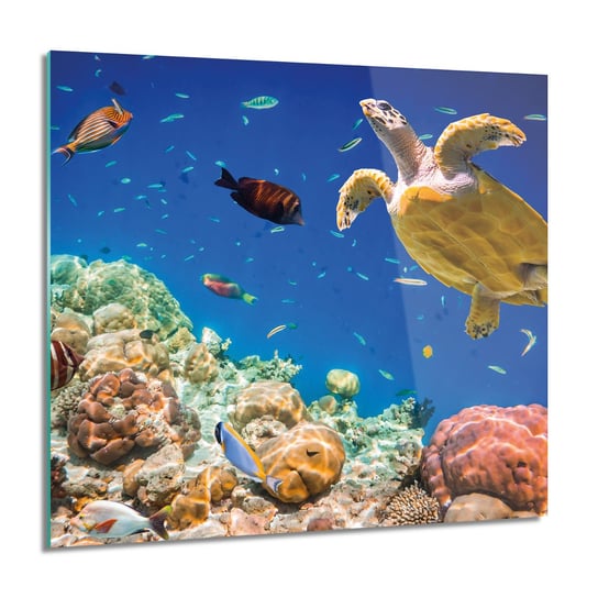 ArtprintCave, Fauna rafy koralowej Obraz na szkle, 60x60 cm ArtPrintCave