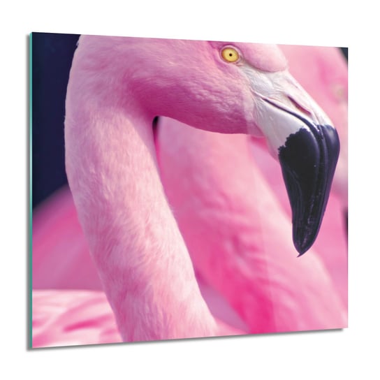ArtprintCave, Flamingi ptaki stado Obraz szklany ścienny, 60x60 cm ArtPrintCave