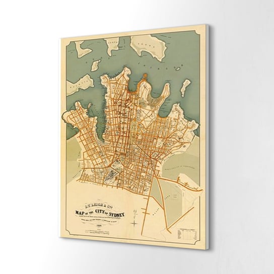 ArtprintCave, Fotografia na płótnie Sydney mapa Australia, 60x80 cm ArtPrintCave
