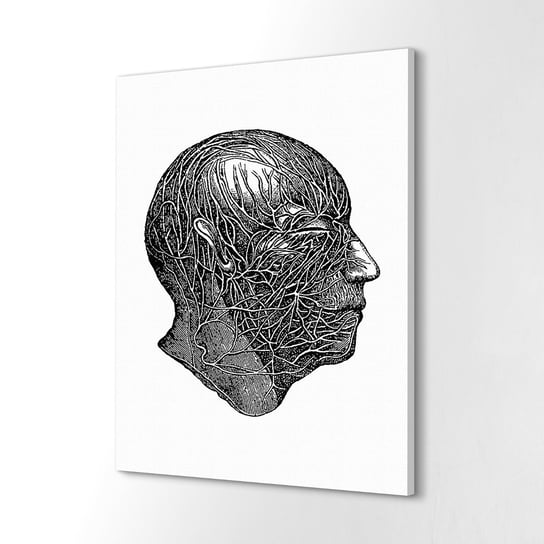 ArtprintCave, Fotoobraz na płótnie Nerwy głowy szkic ciało, 60x80 cm ArtPrintCave