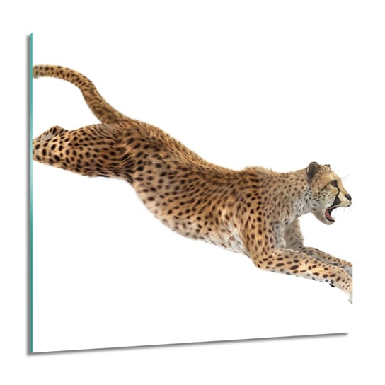 ArtprintCave, Gepard zwierze Foto na szkle ścienne, 60x60 cm ArtPrintCave
