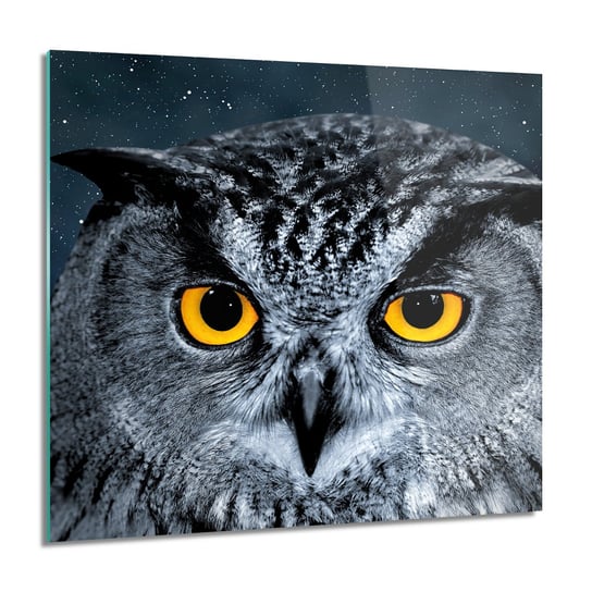 ArtprintCave, Głowa sowy gwiazdy Obraz na szkle na ścianę, 60x60 cm ArtPrintCave