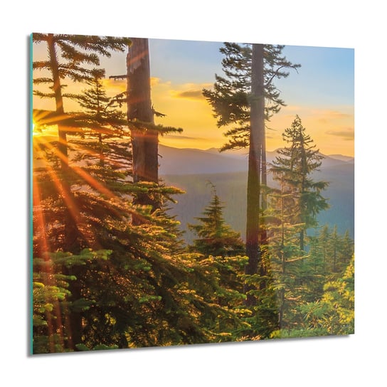 ArtprintCave, Góry las choinki Obraz na szkle na ścianę, 60x60 cm ArtPrintCave