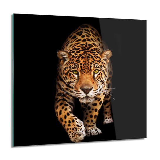 ArtprintCave, Jaguar kot foto-obraz Obraz szklany, 60x60 cm ArtPrintCave
