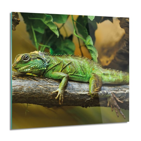 ArtprintCave, Kameleon drzewo gad Foto szklane ścienne, 60x60 cm ArtPrintCave