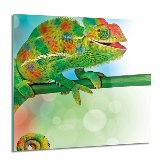 ArtprintCave, Kameleon gad patyk do salonu Obraz szklany, 60x60 cm ArtPrintCave