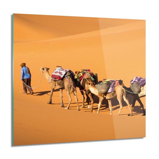 ArtprintCave, Karawana wielbłądy Obraz na szkle ścienny, 60x60 cm ArtPrintCave