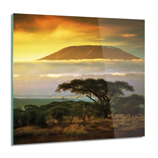 ArtprintCave, Kilimandżaro góra sawanna Obraz szklany, 60x60 cm ArtPrintCave