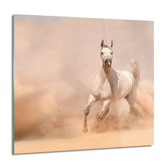 ArtprintCave, Koń biegnący piasek obraz szklany ścienny, 60x60 cm ArtPrintCave