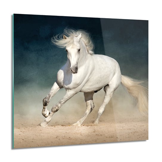 ArtprintCave, Koń galop piasek obraz szklany na ścianę, 60x60 cm ArtPrintCave