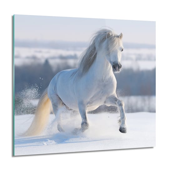 ArtprintCave, Koń galop zima śnieg foto na szkle ścienne, 60x60 cm ArtPrintCave