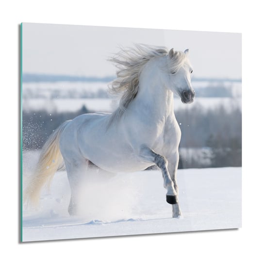 ArtprintCave, Koń galop zima śnieg obraz szklany na ścianę, 60x60 cm ArtPrintCave