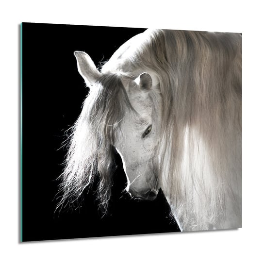ArtprintCave, Koń grzywa ukłon do kuchni obraz szklany, 60x60 cm ArtPrintCave