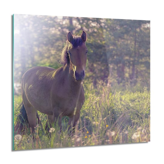 ArtprintCave, Koń polana trawa obraz na szkle na ścianę, 60x60 cm ArtPrintCave