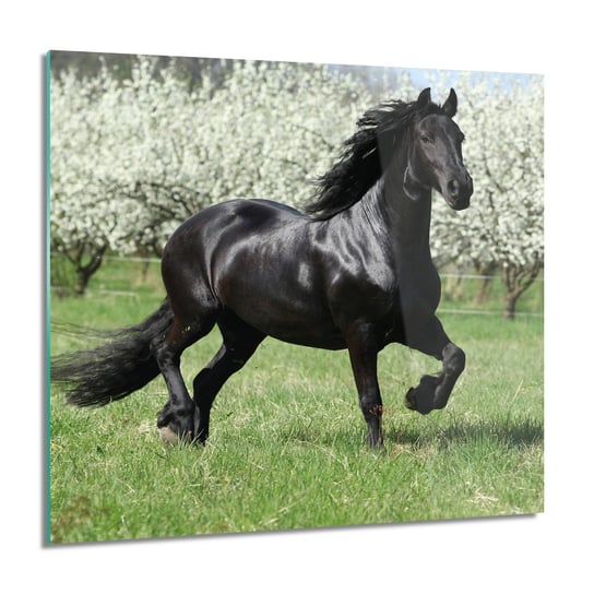 ArtprintCave, Koń sad drzewa trawa foto na szkle ścienne, 60x60 cm ArtPrintCave
