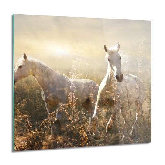 ArtprintCave, Konie galop trawy foto na szkle na ścianę, 60x60 cm ArtPrintCave