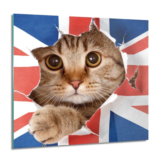 ArtprintCave, Kot głowa flaga UK obraz szklany na ścianę, 60x60 cm ArtPrintCave