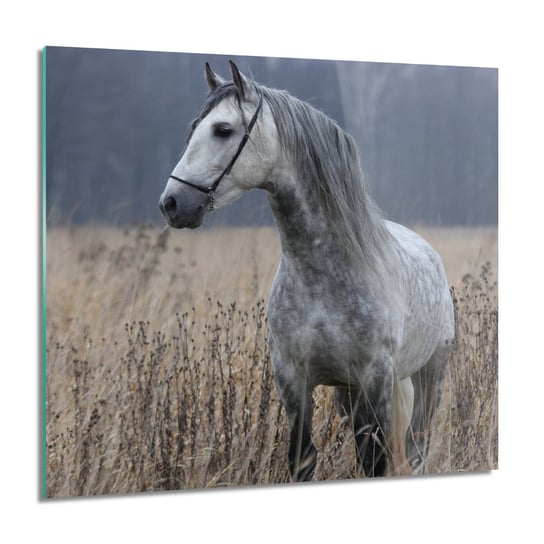 ArtprintCave, Las koń łąka natura obraz na szkle ścienny, 60x60 cm ArtPrintCave