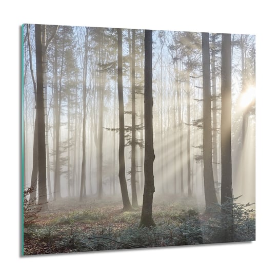 ArtprintCave, Las mgła słońce foto-obraz obraz na szkle, 60x60 cm ArtPrintCave