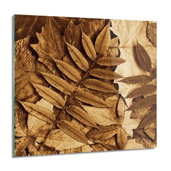 ArtprintCave, Liście drzew suche obraz na szkle ścienny, 60x60 cm ArtPrintCave