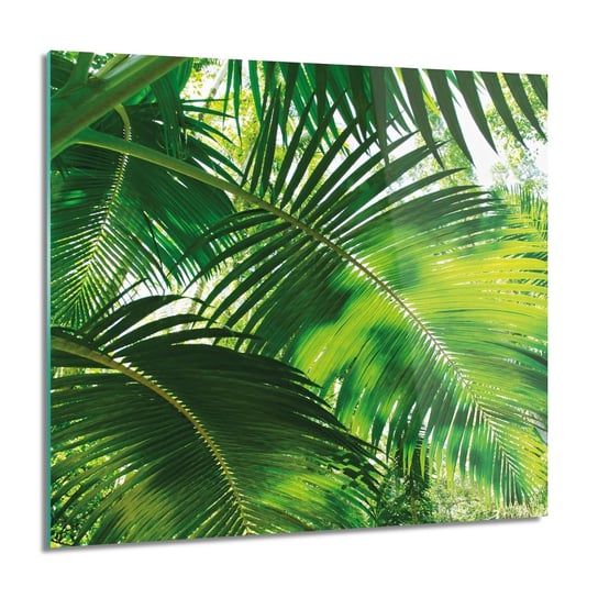 ArtprintCave, Liście palmy tropik foto na szkle na ścianę, 60x60 cm ArtPrintCave