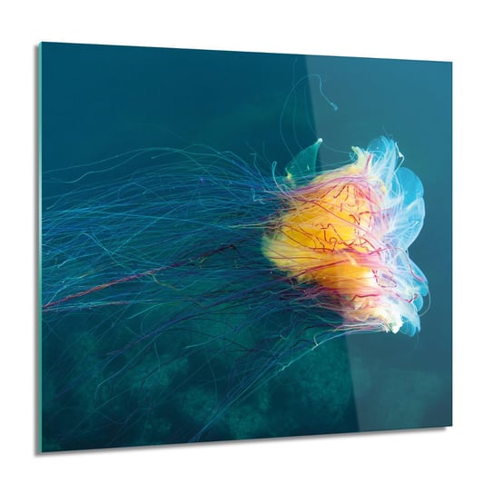 ArtprintCave, Meduza ocean morze foto na szkle na ścianę, 60x60 cm ArtPrintCave