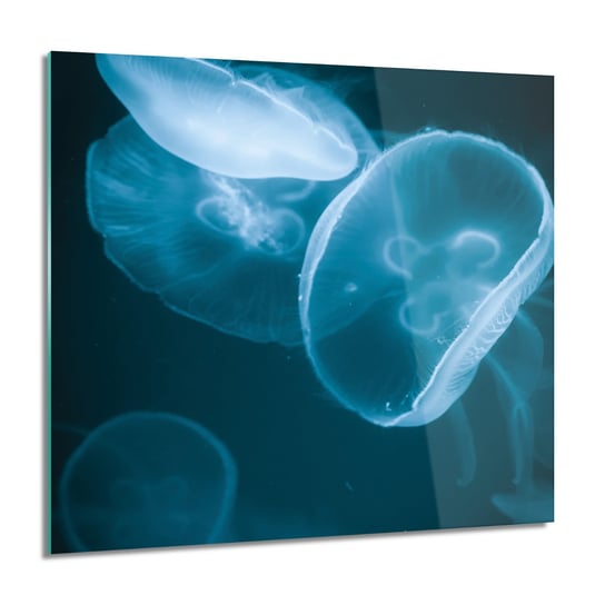 ArtprintCave, Meduza ocean morze obraz na szkle ścienny, 60x60 cm ArtPrintCave