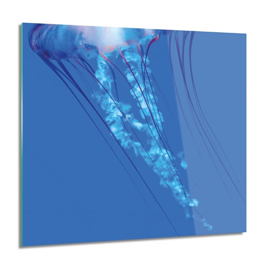 ArtprintCave, Meduza ocean morze obraz szklany na ścianę, 60x60 cm ArtPrintCave