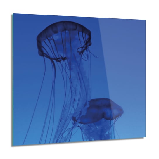 ArtprintCave, Meduza ocean morze obraz szklany ścienny, 60x60 cm ArtPrintCave