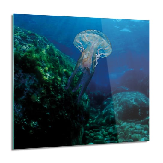 ArtprintCave, Meduza ocean rafa obraz na szkle ścienny, 60x60 cm ArtPrintCave