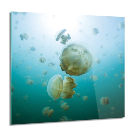ArtprintCave, Meduzy ocean morze foto-obraz obraz na szkle, 60x60 cm ArtPrintCave