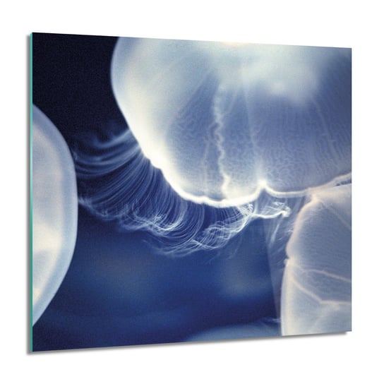 ArtprintCave, Meduzy ocean morze nowoczesne foto szklane, 60x60 cm ArtPrintCave