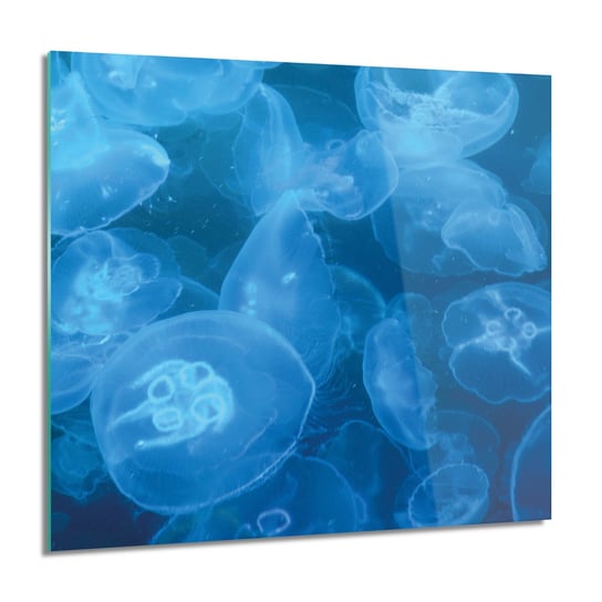 ArtprintCave, Meduzy ocean morze obraz na szkle, 60x60 cm ArtPrintCave