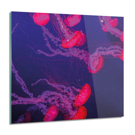 ArtprintCave, Meduzy ocean morze obraz na szkle na ścianę, 60x60 cm ArtPrintCave
