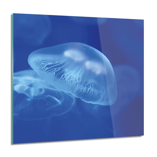 ArtprintCave, Meduzy ocean morze obraz szklany na ścianę, 60x60 cm ArtPrintCave