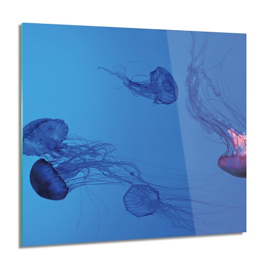 ArtprintCave, Meduzy ocean morze obraz szklany ścienny, 60x60 cm ArtPrintCave