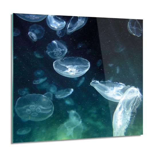 ArtprintCave, Meduzy woda ocean do kuchni obraz szklany, 60x60 cm ArtPrintCave