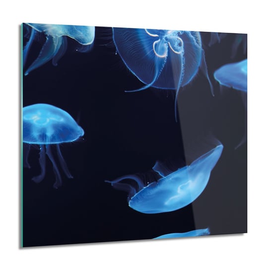 ArtprintCave, Meduzy woda ocean do łazienki obraz na szkle, 60x60 cm ArtPrintCave