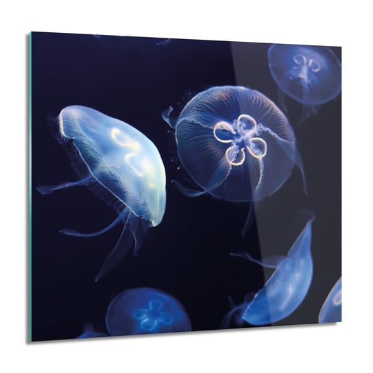 ArtprintCave, Meduzy woda ocean do sypialni obraz na szkle, 60x60 cm ArtPrintCave