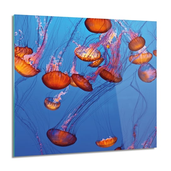 ArtprintCave, Meduzy woda ocean kwadrat obraz na szkle, 60x60 cm ArtPrintCave