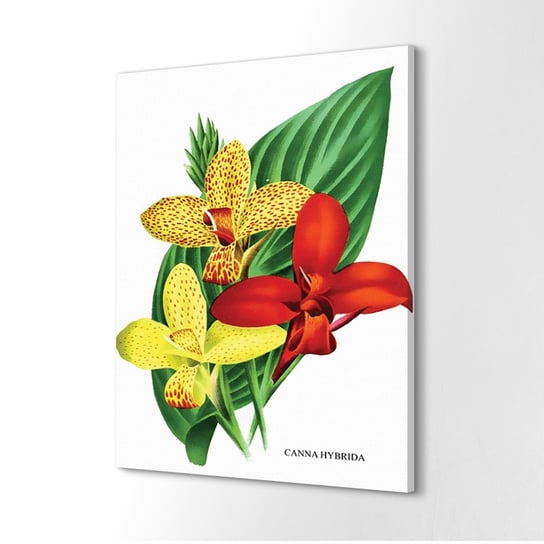 ArtPrintCave, Obraz canvas dekoracja Retro plakat kwiatowy, 40x60 cm ArtPrintCave