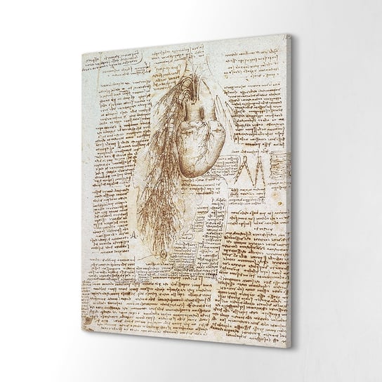 ArtPrintCave, Obraz canvas mały 60x80 cm Da Vinci anatomia sztuka ArtPrintCave